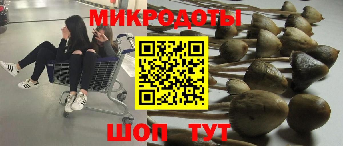 Псилоцибиновые грибы Psilocybe  Вход с VPN  Алексин 